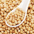 Poroto de Soya