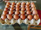 Huevos bandeja 30 uni. (Solo disponible para Chicureo)